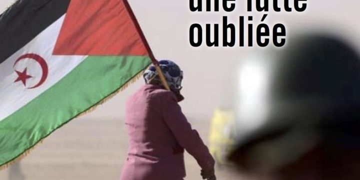 Dossier Sahara-Occidental – GOLIAS Hebdo N° 539
