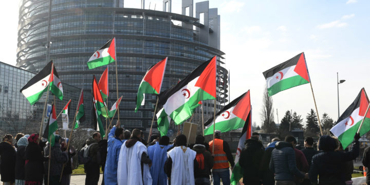 Le peuple sahraoui dans les arcanes du Parlement européen