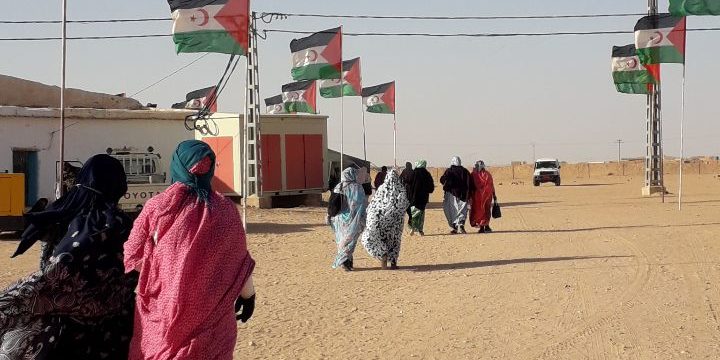 Message des françaises et des français solidaires avec les femmes sahraouies au centre de la lutte de libération de leur peuple depuis 1973 et la création du Front Polisario !