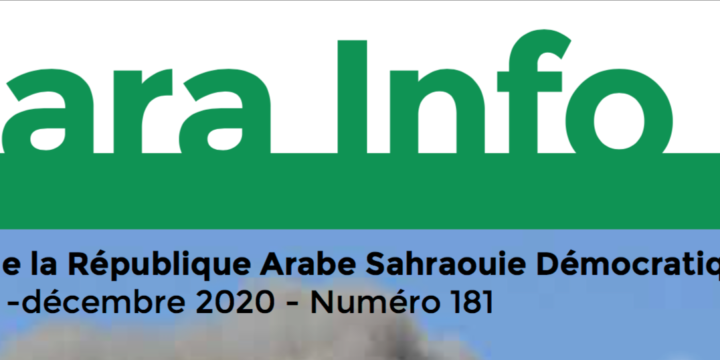 Sahara-Info – N°181 – La lutte armée pour imposer l’autodétermination